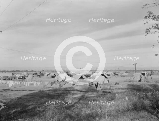 Auto camp north of Calipatria, California, 1937. Creator: Dorothea Lange.
