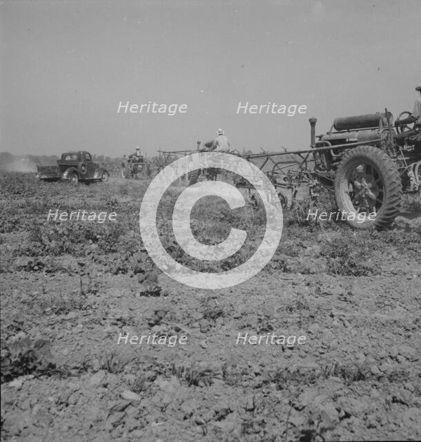 Aldridge Plantation, Mississippi, 1937. Creator: Dorothea Lange.