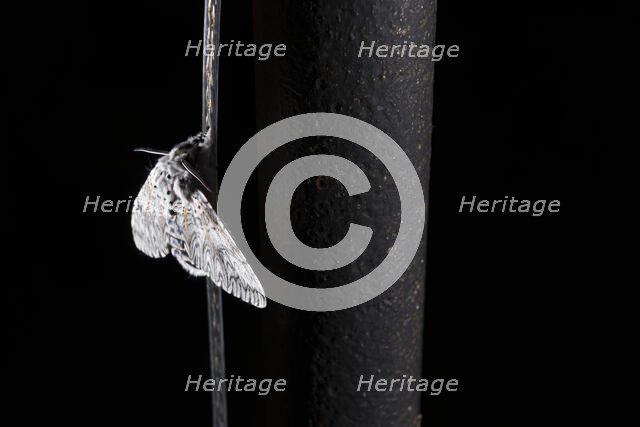 Cashes Green Road, Cainscross, Stroud, Gloucestershire, 2020. Creator: Steven Baker.