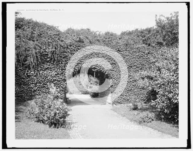 Archway in the park, Buffalo, N.Y., between 1900 and 1906. Creator: Unknown.
