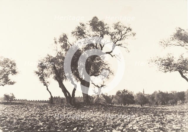 Jérusalem, Chemin de Naplouse, 1854. Creator: Auguste Salzmann.