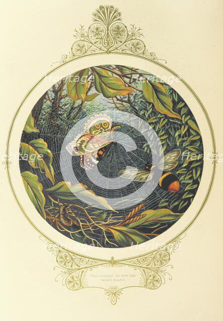 Then straight he flew like a valiant knight, 1870.  Creator: A. F. L..