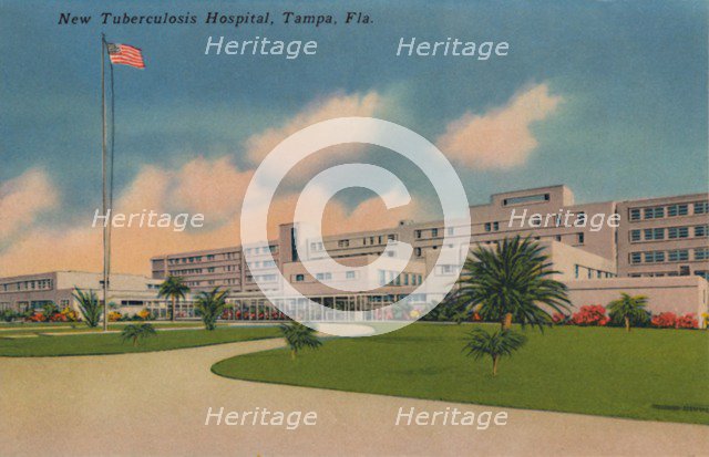 'New Tuberculosis Hospital, Tampa, Fla.', c1940s. Artist: Unknown.