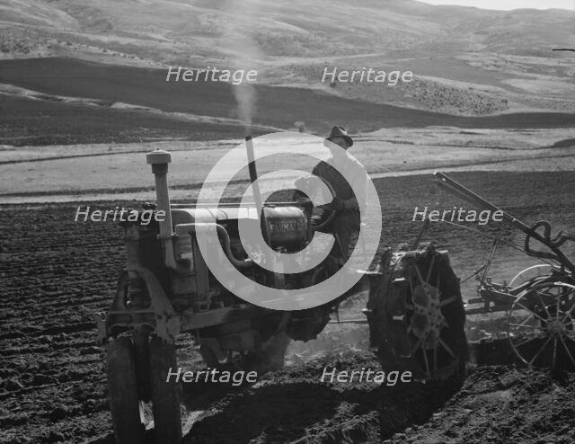 Young farmer, member of Ola self-help sawmill co-op, plowing..., Gem County, Idaho, 1939. Creator: Dorothea Lange.