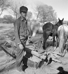 A new start, Bosque Farms project, New Mexico, 1935. Creator: Dorothea Lange.