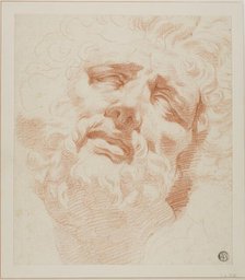 Study for Head of Laocoon, n.d. Creator: Andrea Appiani.