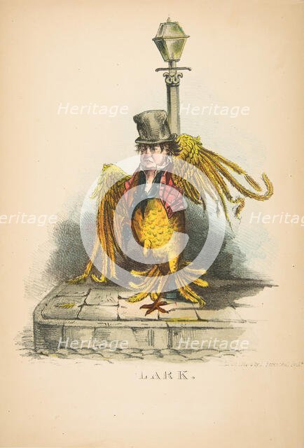 Lark, from The Comic Natural History of the Human Race, 1851. Creators: Henry Louis Stephens, L. Rosenthal.