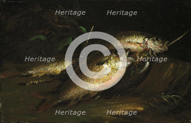 Fish, 1842. Creator: Shepard Alonzo Mount.