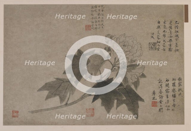 Hibiscus, 1347. Creator: Wang Yuan.