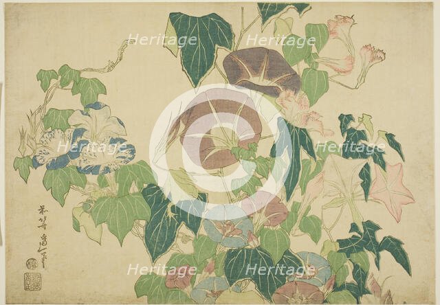 Morning Glories and Tree-frog, from an untitled series of Large Flowers, Japan, c. 1833/34. Creator: Hokusai.