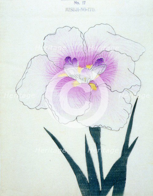 Misuji-No-Ito, No. 17.