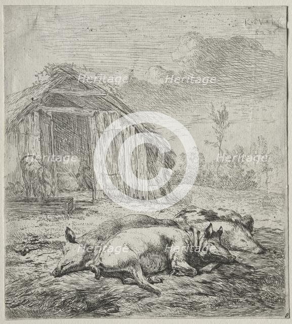Three Swine Lying in Front of a Sty. Creator: Karel Dujardin (Dutch, c. 1622-1678).