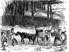 London ice carts, 1850. Artist: Unknown