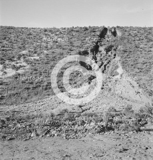 Water seepage from newly irrigated land..., Dead Ox Flat, Malheur County, Oregon, 1939. Creator: Dorothea Lange.