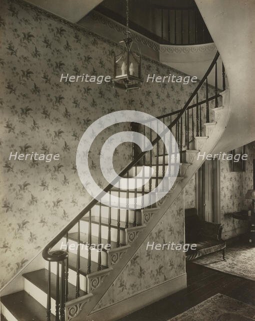 Cottage garden, Natchez, Adams County, Mississippi, 1938. Creator: Frances Benjamin Johnston.