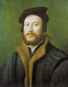 Portrait of a Bolognese Gentleman in a Fur-lined Coat, c1523-1525. Creator: Giuliano Bugiardini.