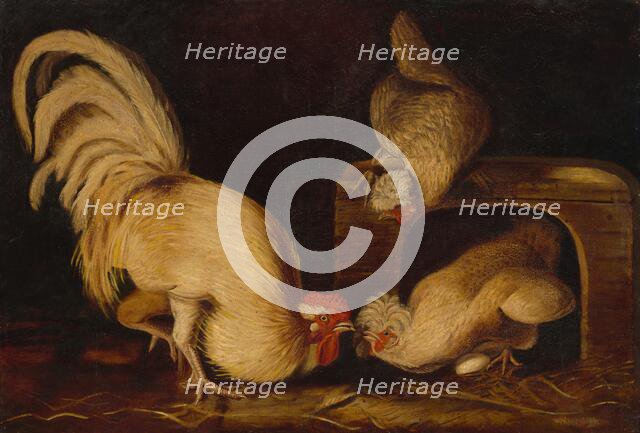 Farmyard Fowls, c. 1827. Creator: John James Audubon.