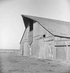 Barn of FSA tenant purchase client, near Manteca, California, 1938. Creator: Dorothea Lange.