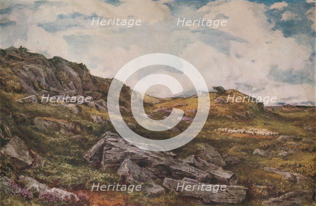 Blythburgh Common', 1888. Artist: Thomas Collier.