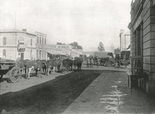 Street scene, Pretoria, South Africa, 1895.  Creator: William Laws Caney.