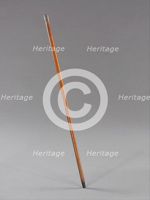 Cane, American, ca. 1883. Creator: Unknown.