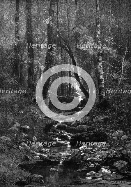 A Place for a Picnic, 1881. Creator: William James Palmer.