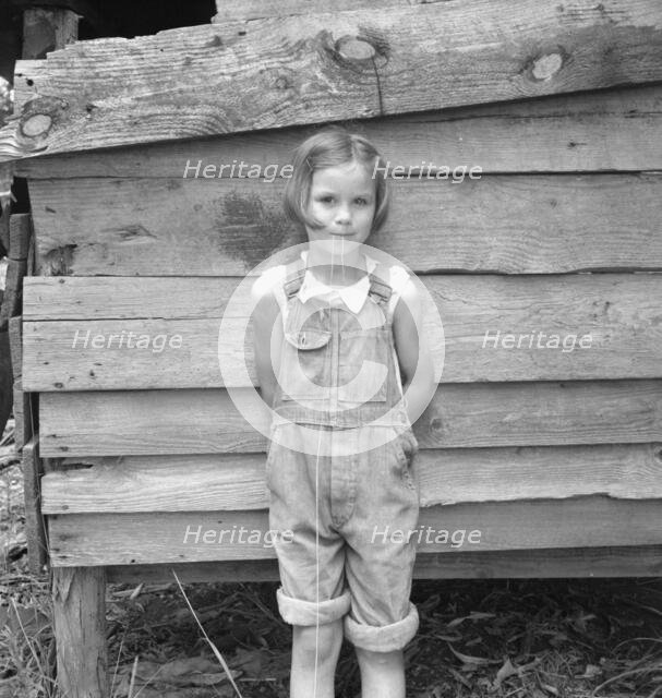 Eight year old daughter who helps about the tobacco barn..., Granville County, North Carolina, 1939. Creator: Dorothea Lange.