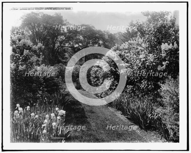 Garden walk, Sargent estate, Brookline, Mass., between 1900 and 1920. Creator: Unknown.