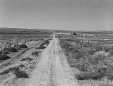 Section of lone road approaching the Schroeder place, Dead Ox Flat, Malheur County, Oregon, 1939. Creator: Dorothea Lange.