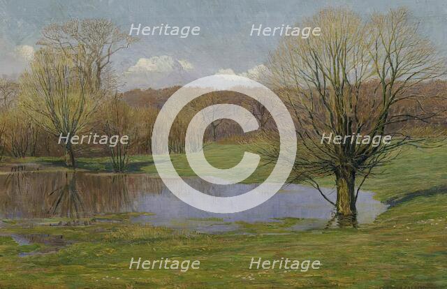 Floodplain landscape in early spring, 1927. Creator: Max Kahrer.