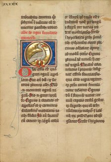 A Swan; De Natura Avium; De Pastoribus et Ovibus, 1277 or after. Creator: Unknown.