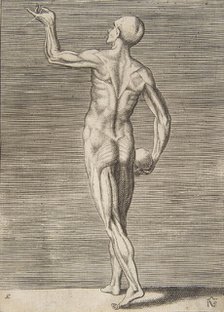 Man seen from the Back, holding a Skull in his right Hand, 16th century. Creator: Giulio Bonasone.