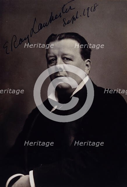 Sir Edwin Ray Lankester, 1918. Creator: Elliott & Fry.