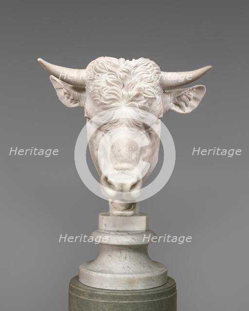 Head of a Bull, 1824. Creator: Gaetano Monti.