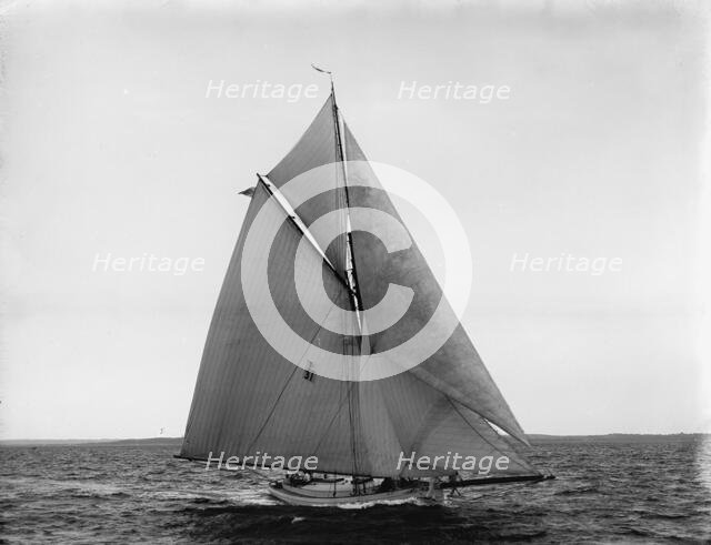 Penguin, 1899 July 29. Creator: John S Johnston.