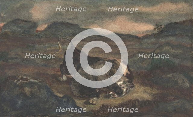 Bear Killing Bull, 1810-75. Creator: Antoine-Louis Barye.