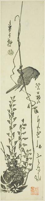 Canary and wisteria, mid-1840s. Creator: Ando Hiroshige.