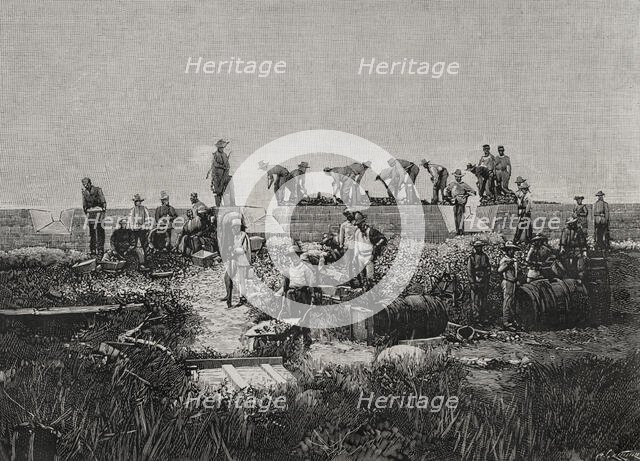 Fortification works on the coast of Santiago de Cuba, Cuban War of Independence (1895-1898), 1898. Creator: Arturo Carretero y Sánchez.