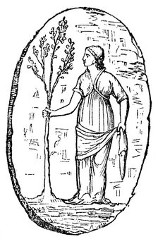 The goddess Minerva holding a young olive tree. Artist: Unknown