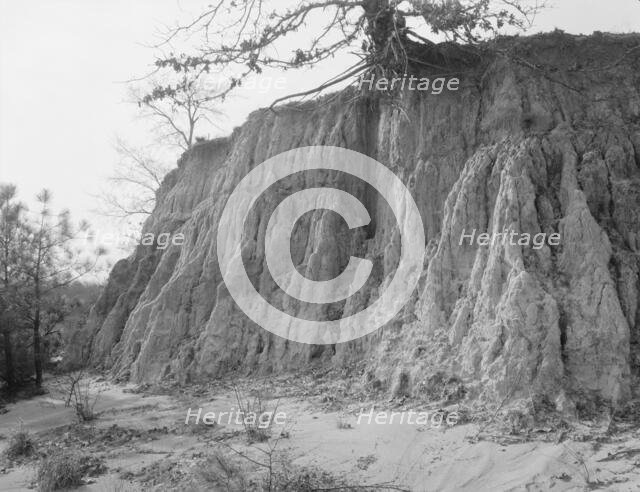 Erosion near Jackson, Mississippi, 1936. Creator: Walker Evans.