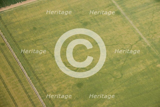 World War Two practice trench crop mark, near Birchington, Kent, 2015. Creator: Historic England.