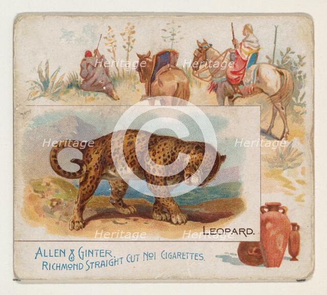 Leopard, from Quadrupeds series (N41) for Allen & Ginter Cigarettes, 1890. Creator: Allen & Ginter.