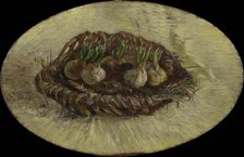 Basket of Hyacinth Bulbs, 1887. Creator: Gogh, Vincent, van (1853-1890).