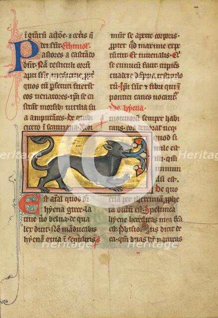 A Hyena; De Natura Avium; De Pastoribus et Ovibus; Bestiarium, 1277 or after. Creator: Unknown.