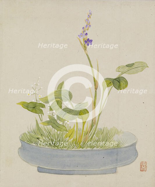 Leaf from Album Depicting Birds, Flowers, Landscapes, and Flower Pots, 1876. Creator: Yoshizawa Setsuan.