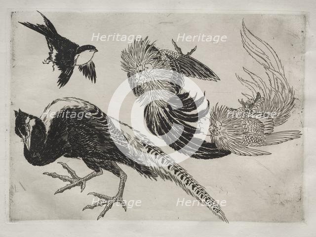 Dinner Service (Rousseau service): Pheasants and bird (no. 18), 1866. Creator: Félix Bracquemond (French, 1833-1914).