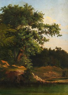 In the Forest, 1860-1890. Creator: Friedrich Carl von Scheidlin.