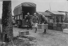 Belgian Army pigeons, between c1915 and c1920. Creator: Bain News Service.