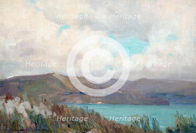 Wellington Harbour from Muritai,  c1910. Creator: Clas Edvard Fristrom.