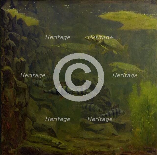 Pike and Perch in an Aquaruim, 1910-1920. Creator: Gerrit Willem Dijsselhof.